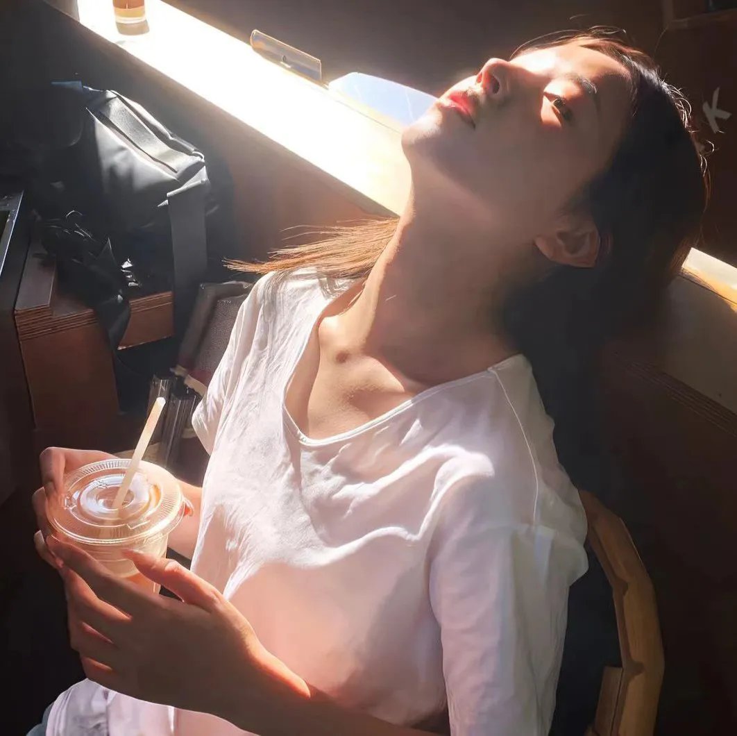 当哈维遇见鲍勃