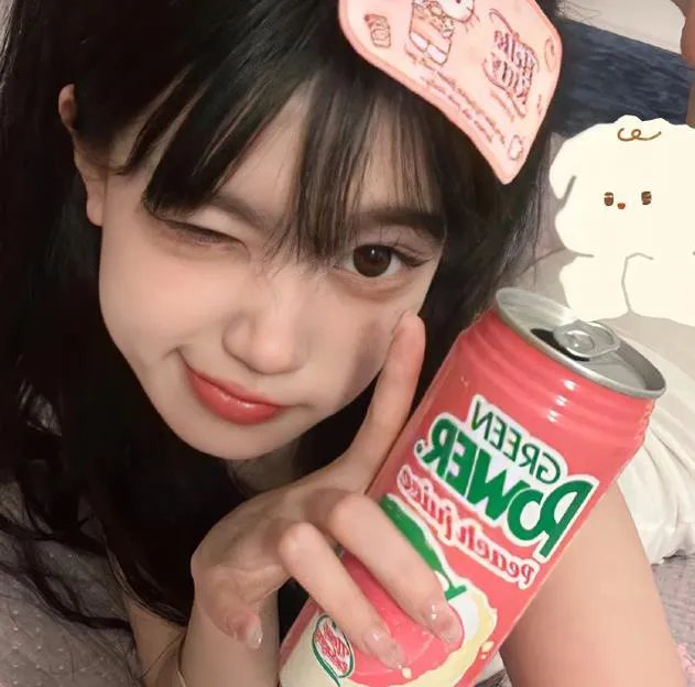 初学者的终极指南